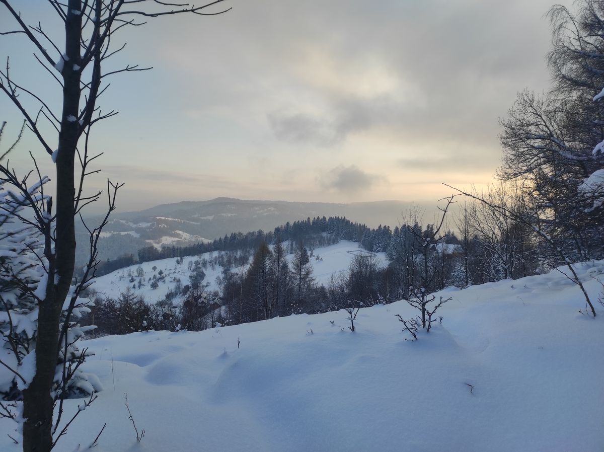 image aléatoire 5