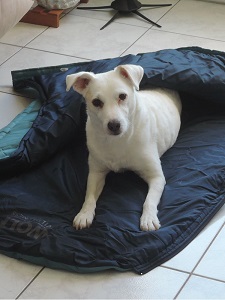 sac de couchage Carlo