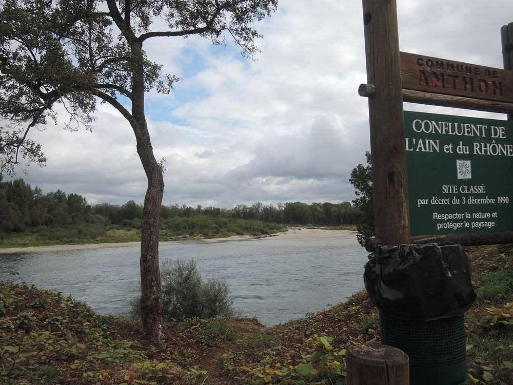 Confluent de l'Ain et du Rhône