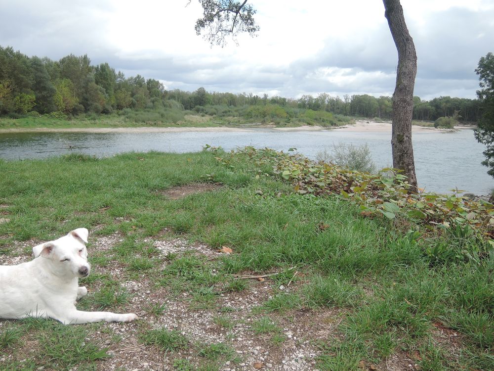 Confluent de l'Ain et du Rhône