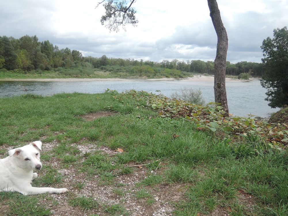 Confluent de l'Ain et du Rhône