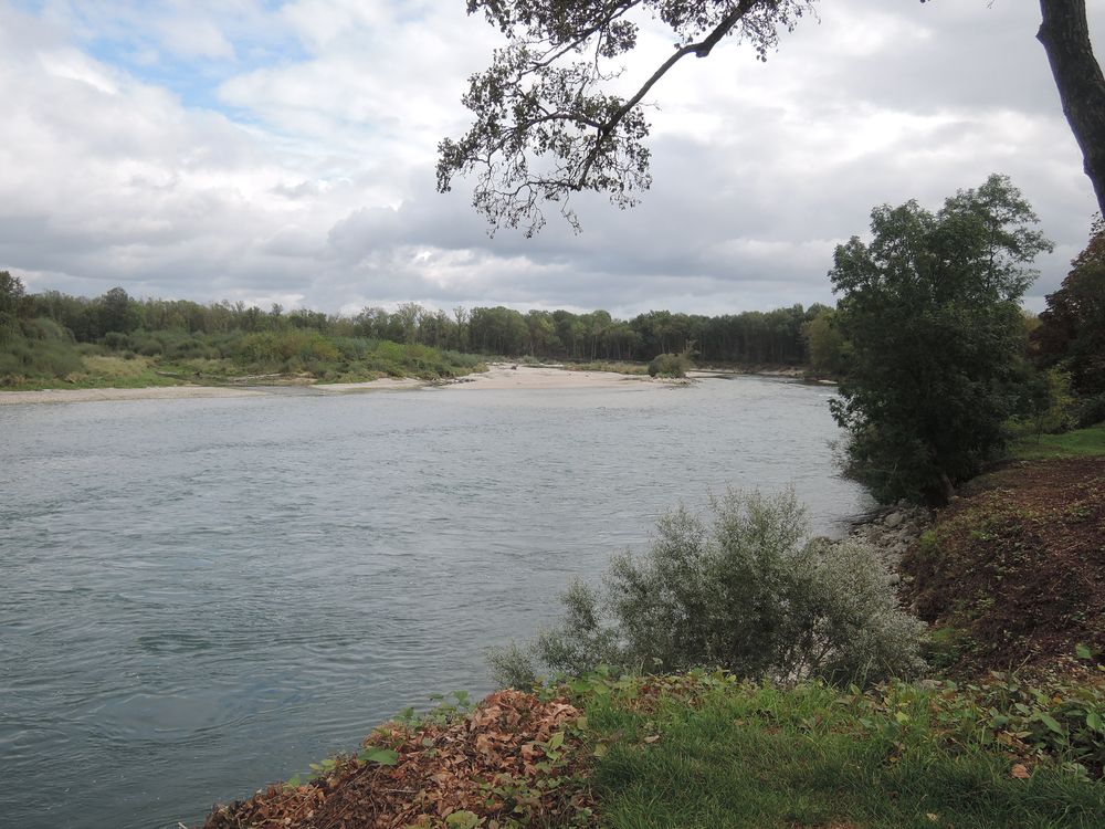 Confluent de l'Ain et du Rhône