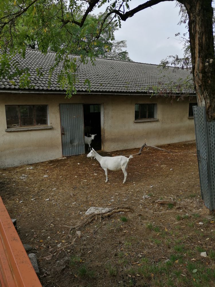Le camping de la Chèvre Verte