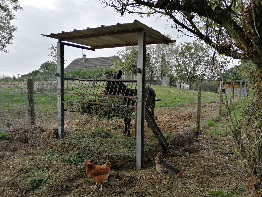 Le camping de la Chèvre Verte