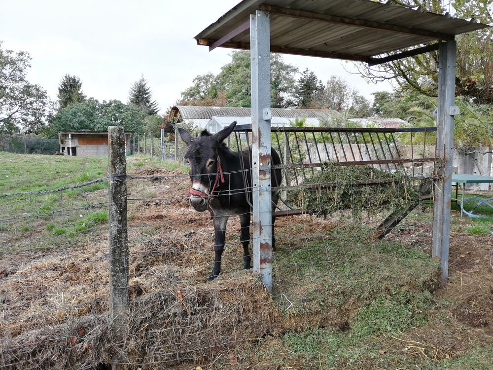 Le camping de la Chèvre Verte
