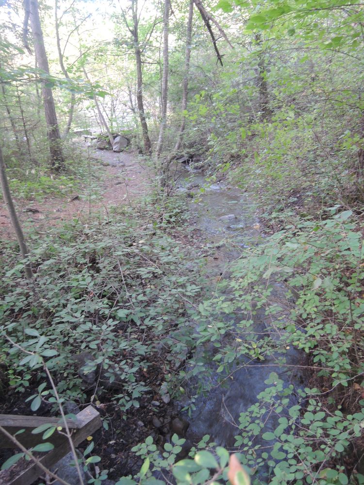 Petite balade piétonne à Savine-Le-Lac