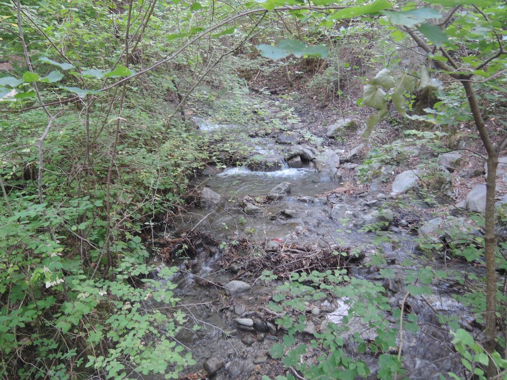 Petite balade piétonne à Savine-Le-Lac