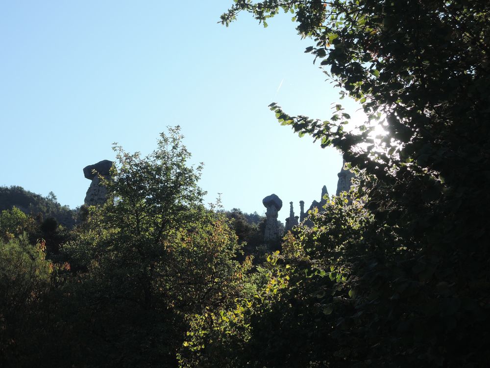 Les demoiselles coiffées du Sauze Du Lac