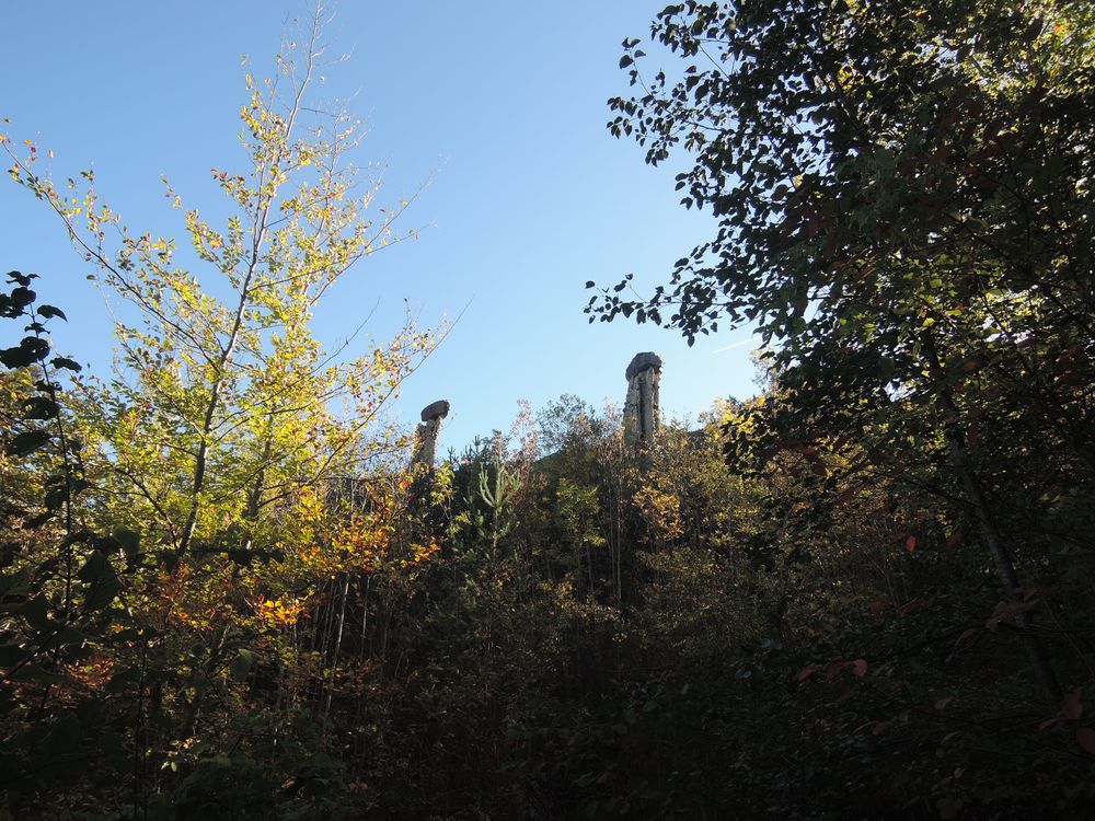 Les demoiselles coiffées du Sauze Du Lac