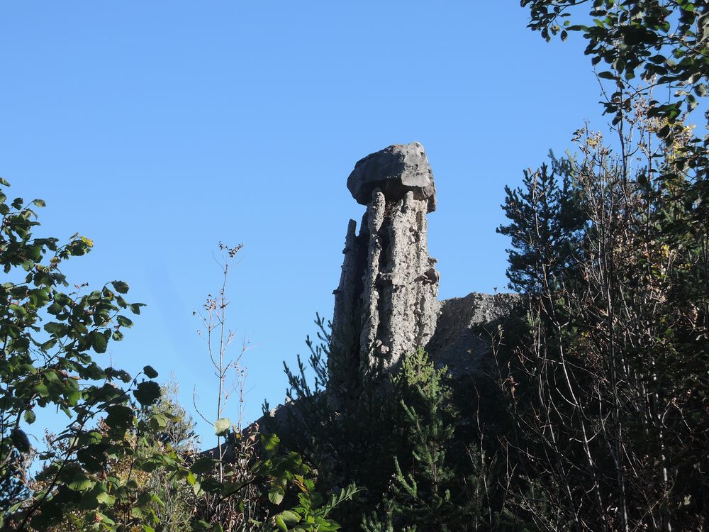 Les demoiselles coiffées du Sauze Du Lac