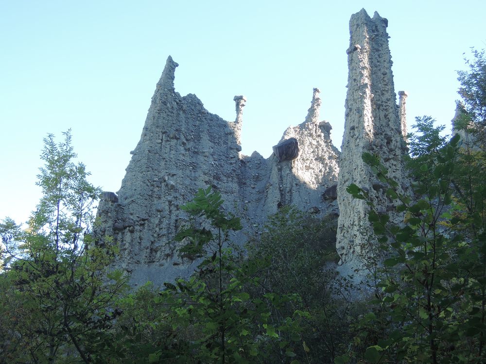 Les demoiselles coiffées du Sauze Du Lac