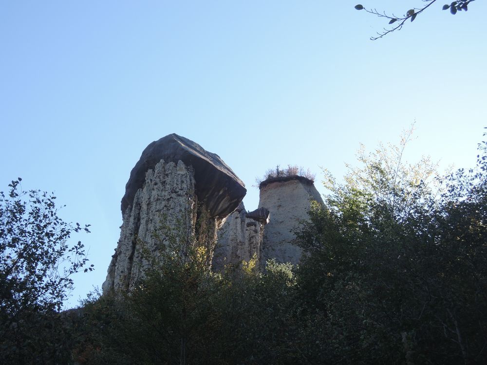 Les demoiselles coiffées du Sauze Du Lac