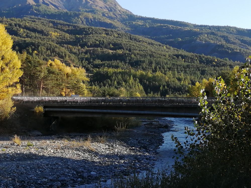Transhumance des moutons à Jausiers