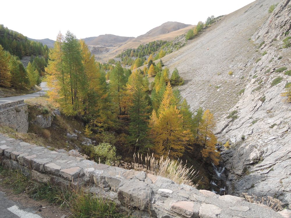 Sur la route du Col de la Bonette