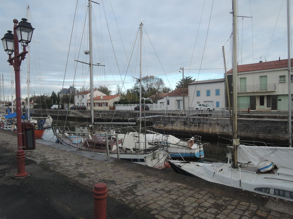 Marans en Charente-Maritime