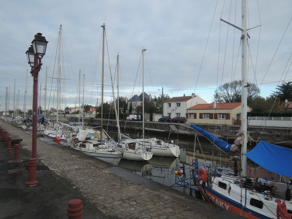 Marans en Charente-Maritime