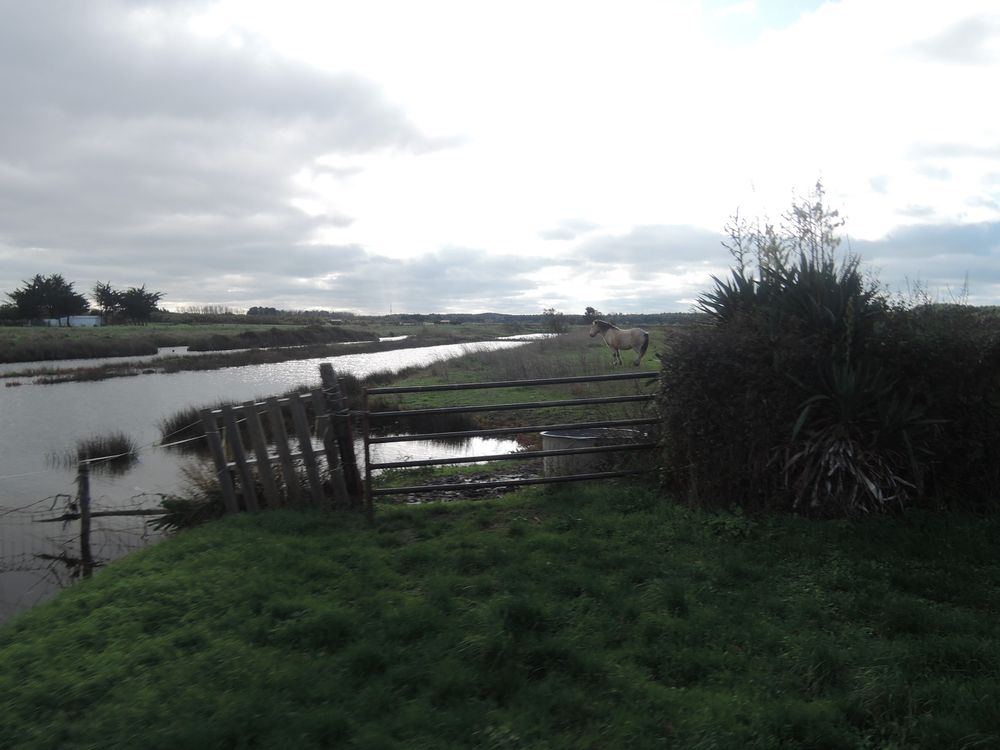 La Vendée à vélo, sortie des Sables d'Olonne vers le Nord