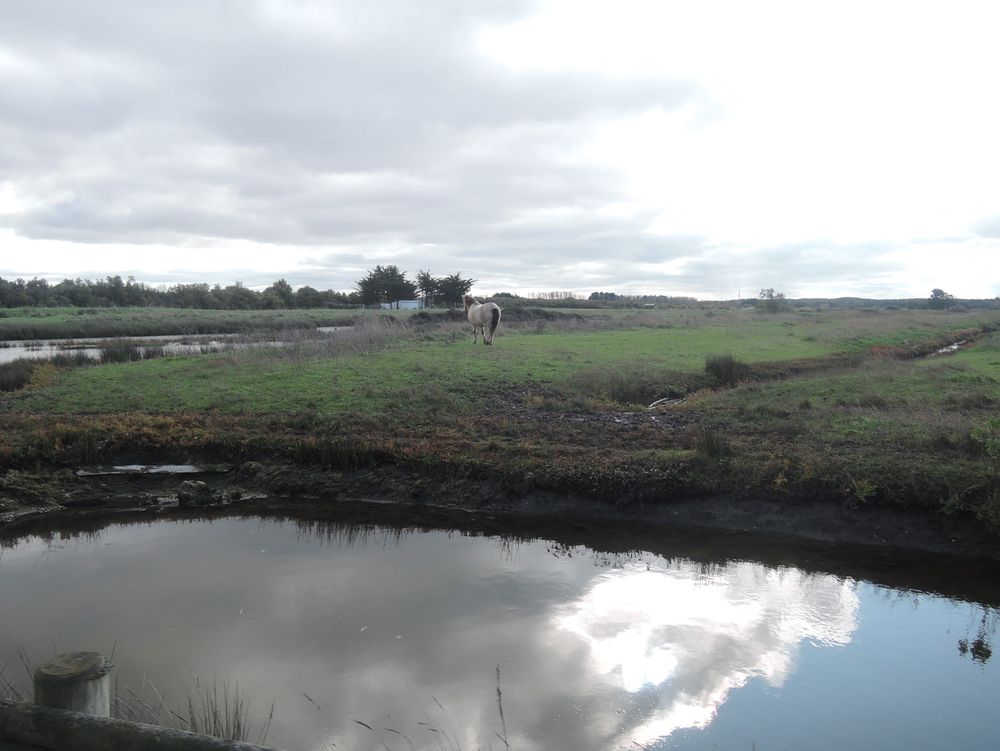 La Vendée à vélo, sortie des Sables d'Olonne vers le Nord