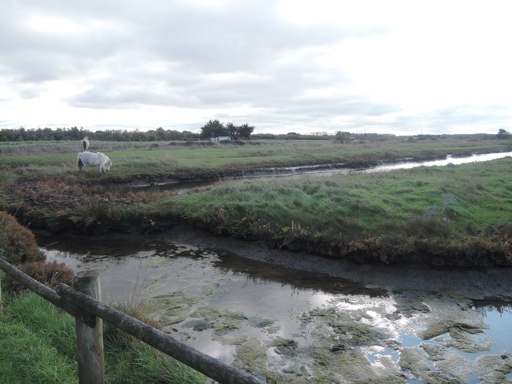 La Vendée à vélo, sortie des Sables d'Olonne vers le Nord