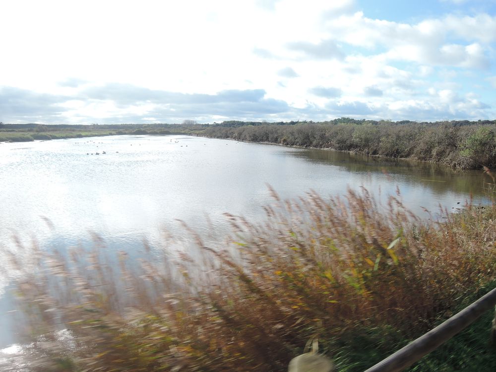 La Vendée à vélo, sortie des Sables d'Olonne vers le Nord
