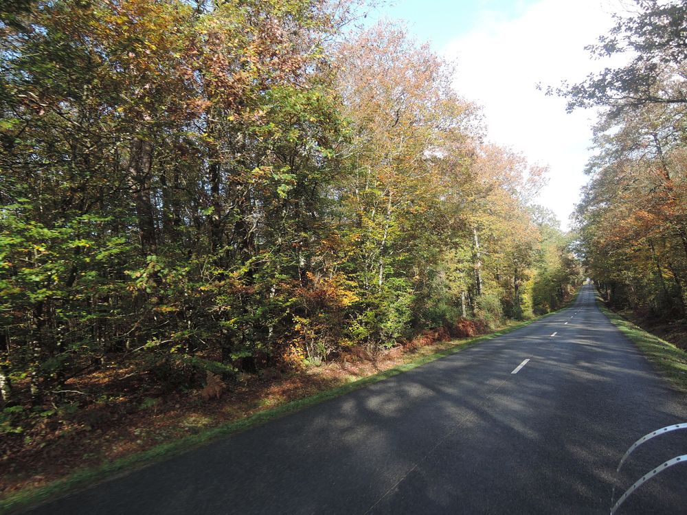 Sur une départementale d'Ile et Vilaine