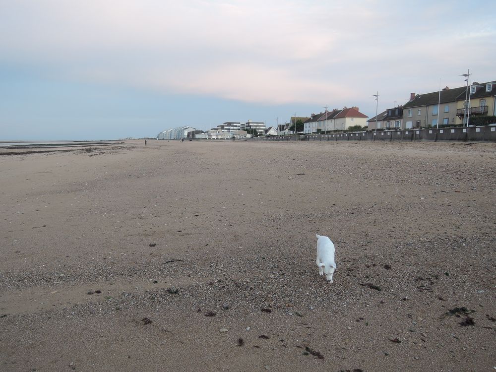 Balade sur la plage de Courseulles-Sur-Mer