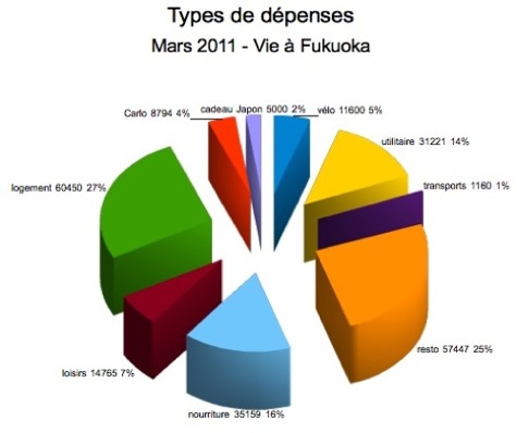 répartition des types de dépenses