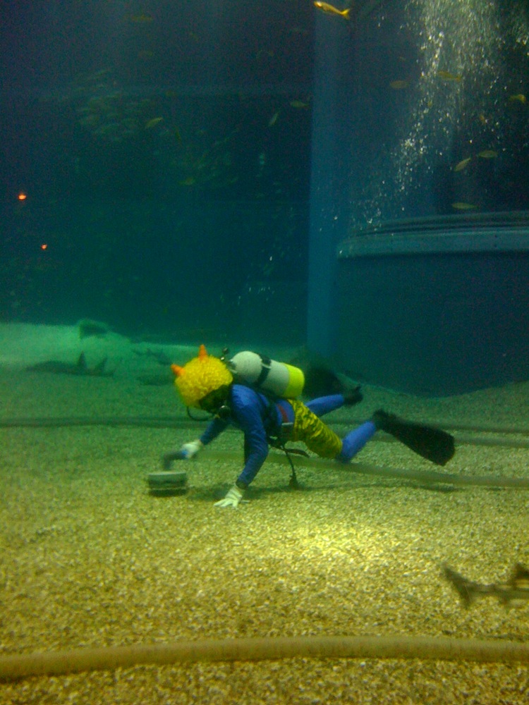 Un drôle de spécimen à cornes!