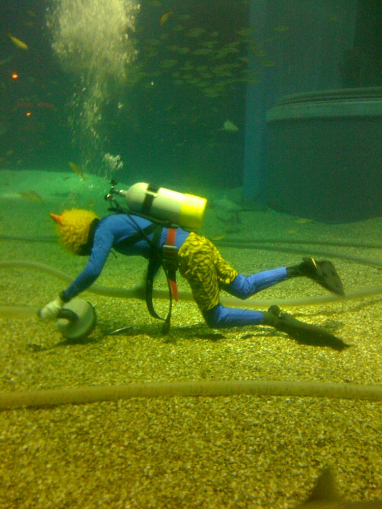 Observez son short... Décidément, les Japonais copient tout ce que fait François...