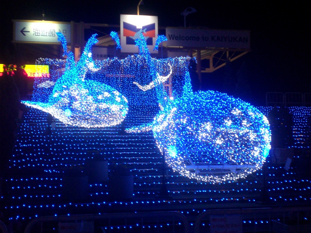 Illuminations sur le parvis de l'aquarium: des requins baleines