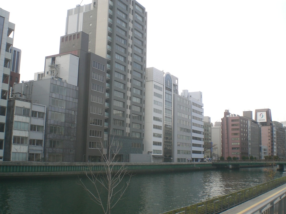 Sur l'autre rive une file ininterrompue d'immeubles modernes