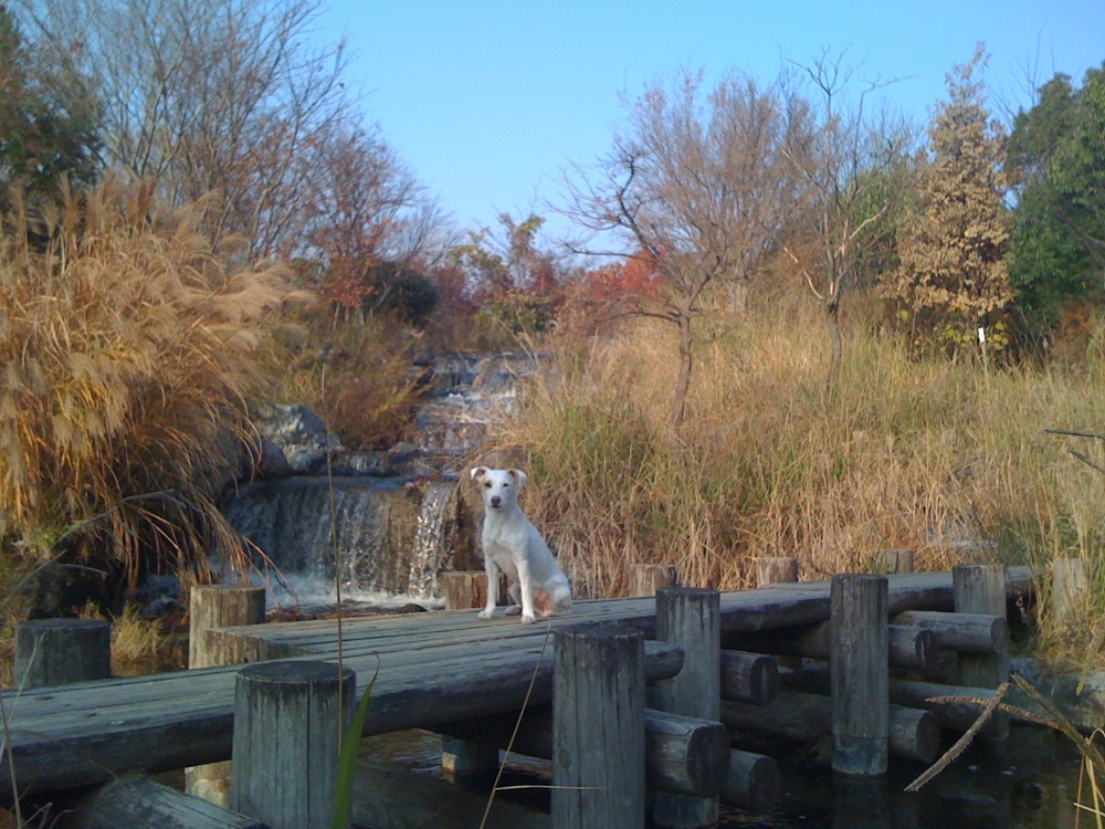 Carlo au parc le premier jour