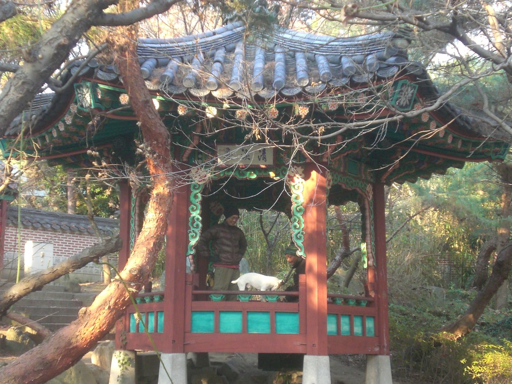 Jardin international: Hiro, François et Carlo dans une autre partie du pavillon coréen