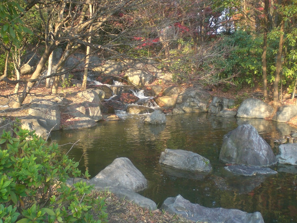 Jardin japonais: même endroit, différentes couleurs