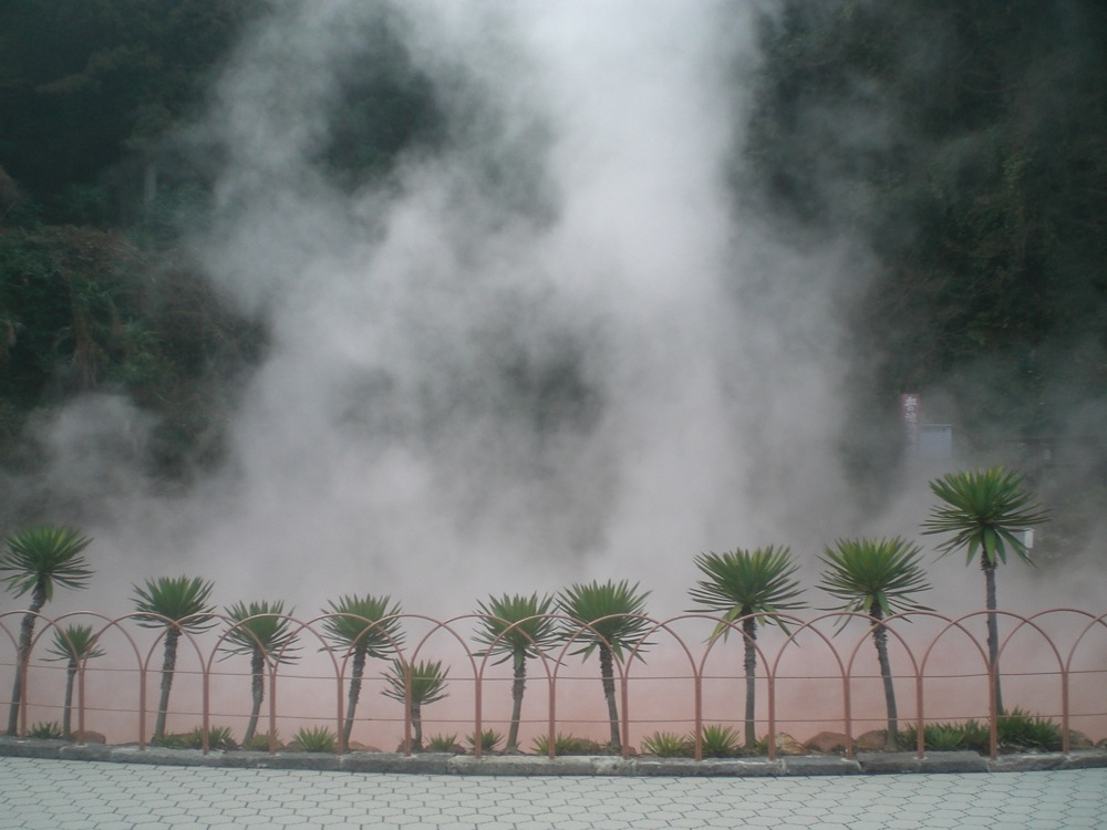 Jiike fumant derrière les palmiers