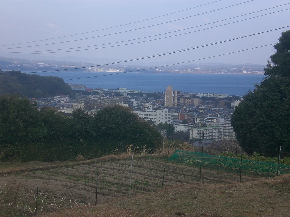 Balade buccolique sur le chemin du retour