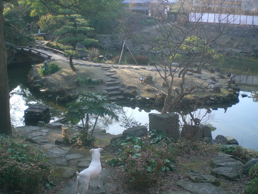 Le parc du château de Kitakyushu