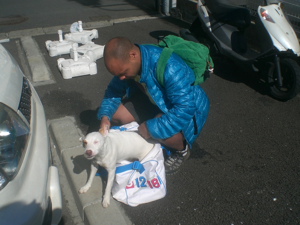 Quelques dizaines de mètres après l'hôtel, Carlo peut enfin sortir de son sac pour se balader avec nous