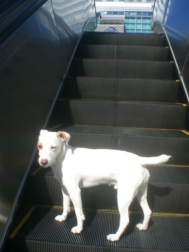 Ce genre de choses épate apparement les Japonais donc je me suis dit que ca devait valoir le coup de faire une photo..!