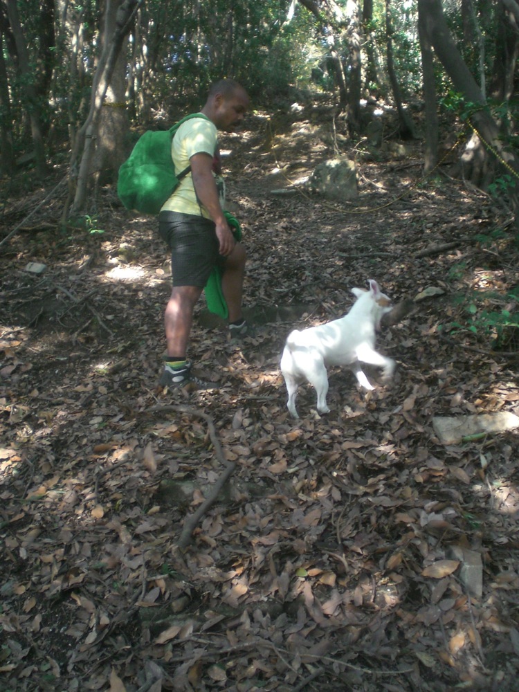 Journée à Mojiko: grimpette dans la montagne