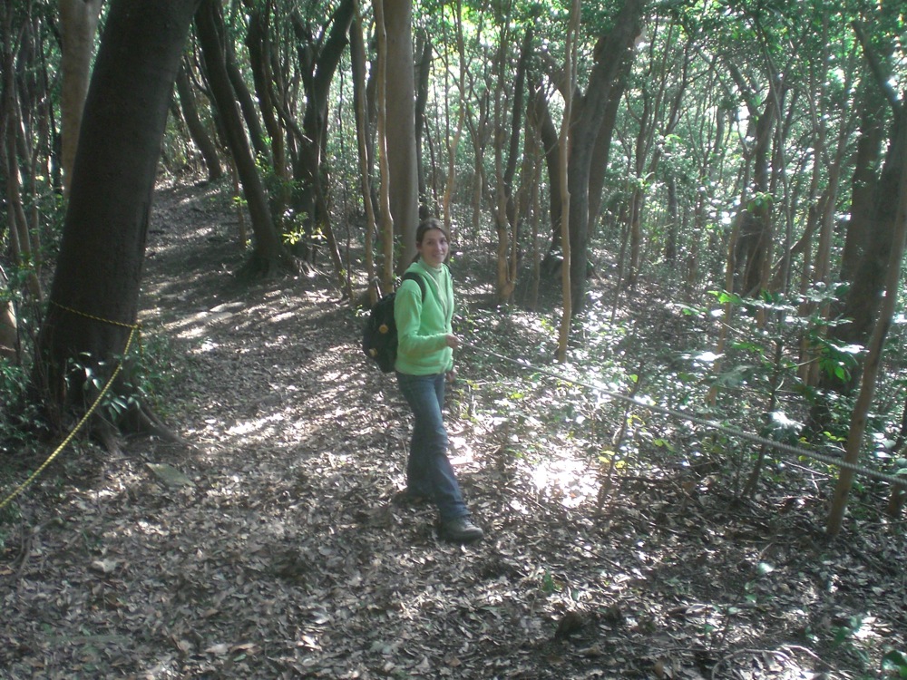 Journée à Mojiko: descente de la même montagne après avoir vu... rien! Oui mais au moins c'était rigolo cette petite escalade!