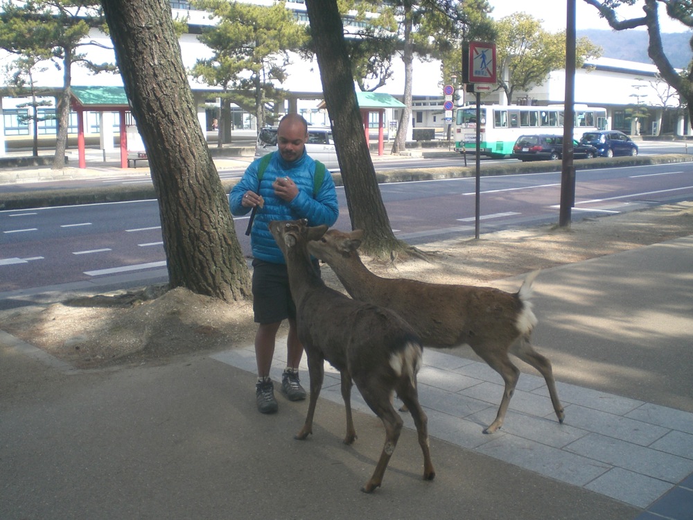 Les daims ont vite repéré son paquet de gauffrettes... et ils ne le lâche plus, héhé!