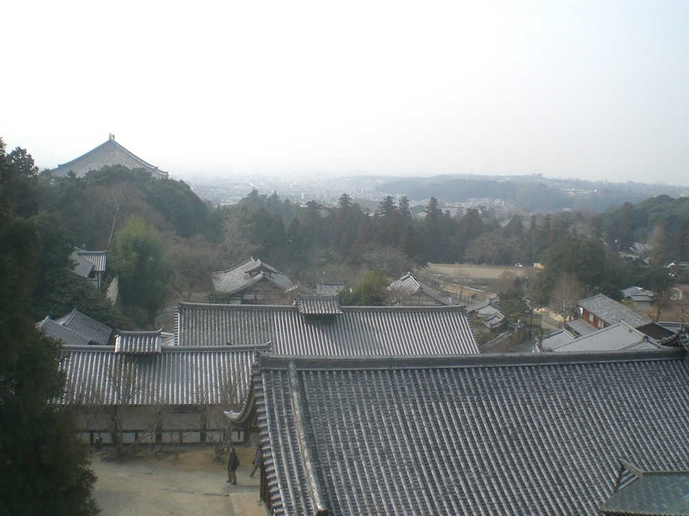 Vue sur la ville de Nara