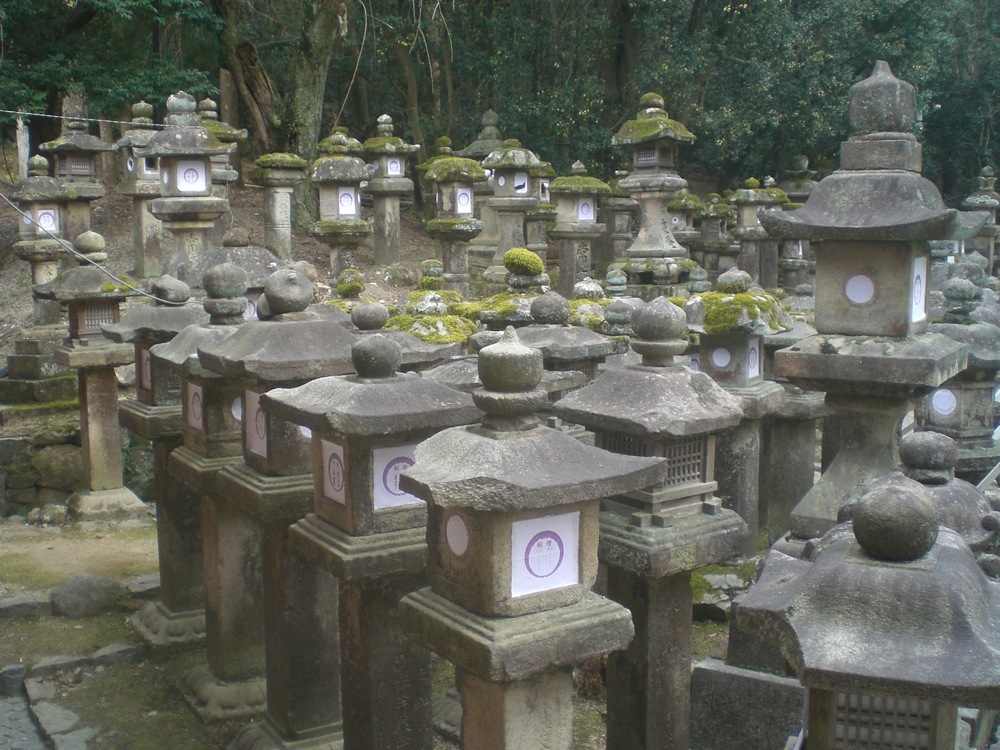 Forêt de lanternes en pierre près du sanctuaire Kasuga Taisha