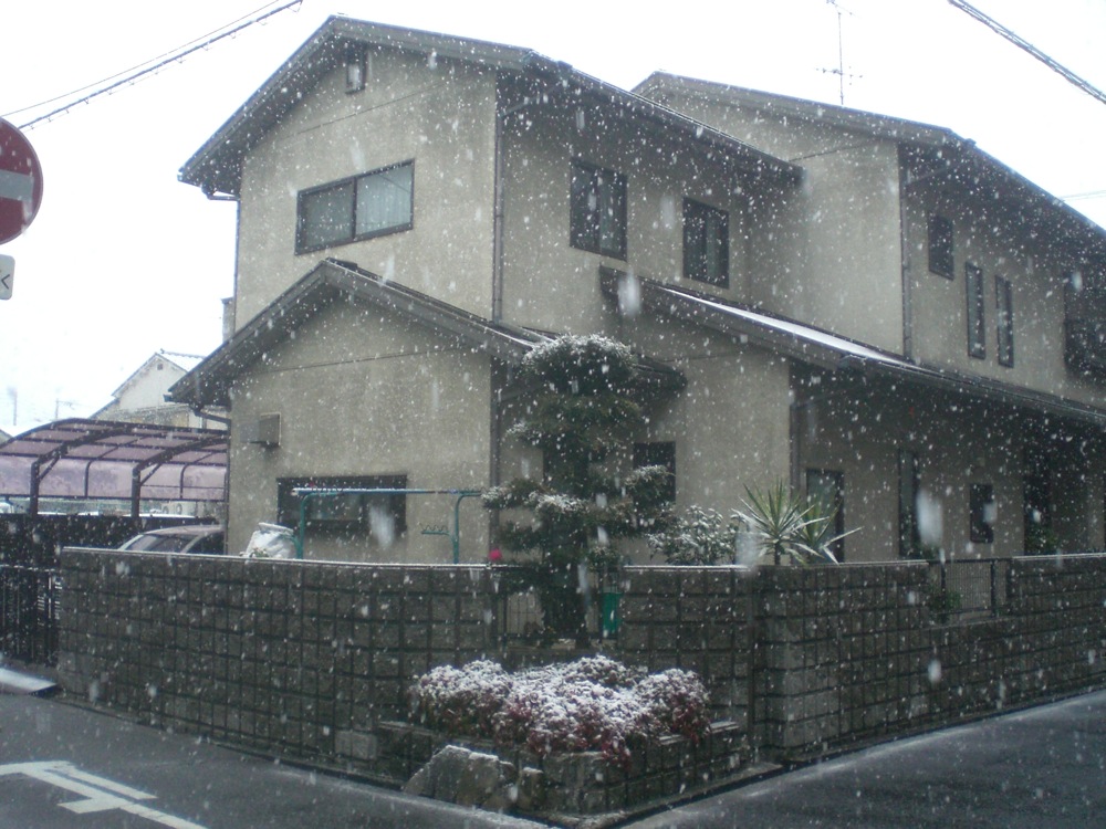 On plisse les yeux tellement il y a de neige qui tombe