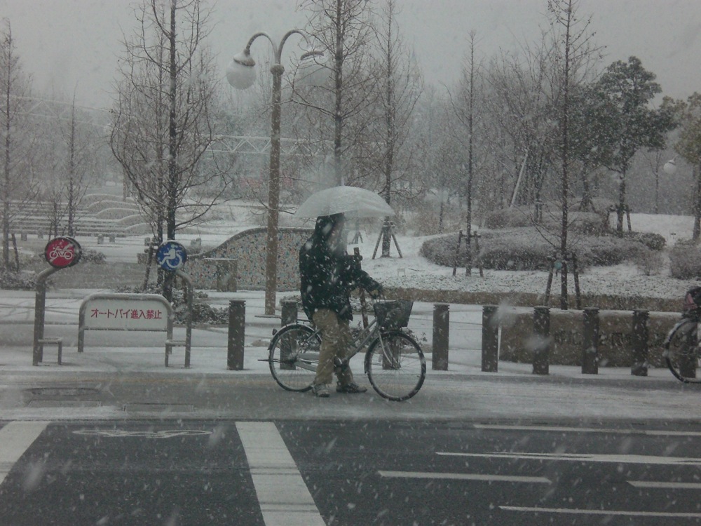 Même sous la neige, les Japonais ne se séparent pas de leur parapluie, pas même à vélo...
