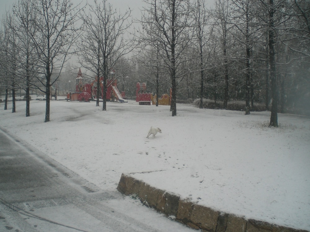 Balade dans le parc: un vrai bonheur, pour Carlo aussi!