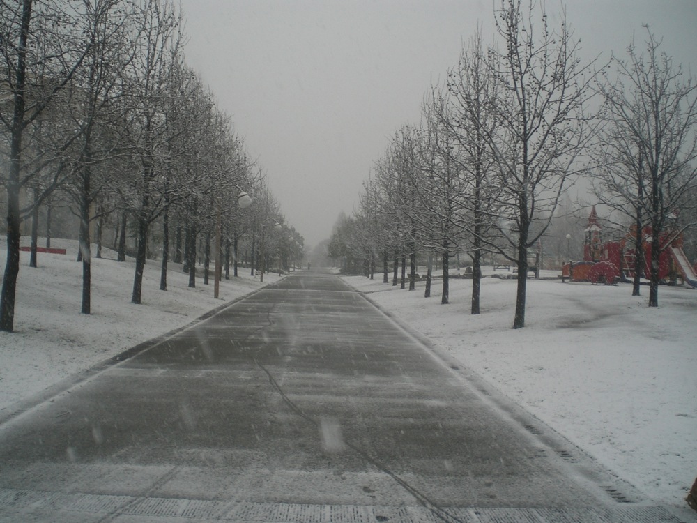 Le parc est totalement désert: ni vélo, ni enfant, ni chien... Tant mieux pour nous!