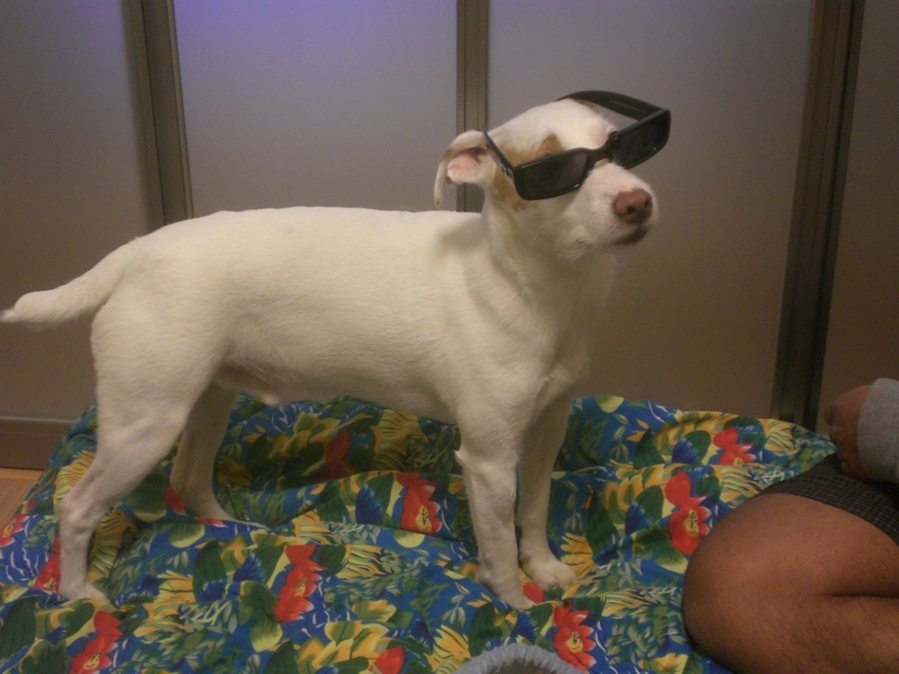 Comment vous le trouvez ?!