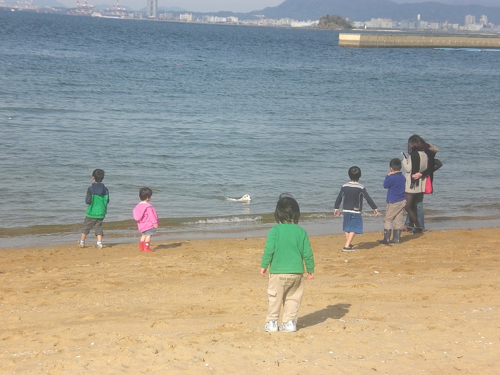 Sur la plage Carlo se fait un tas de (jeunes) amis qui se chargent de lui lancer la balle dans la mer